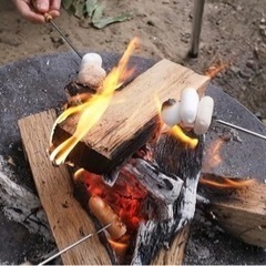 キャンプご一緒できる初心者仲間募集＊