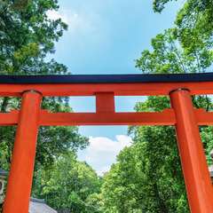 【5/14開催】【女性主催】 (୨୧ ❛ᴗ❛) ✧神社巡り開催し...