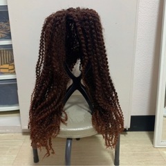 スパイラルウィッグの画像
