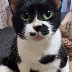 あなたの愚痴お聞きします♪お手伝いなども受けたまわりす。