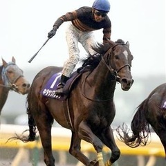 青森県競馬仲間募集してます！！