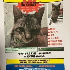 ☆里親さん決定☆