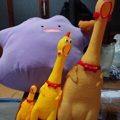 【関西のコンセプトルーム巡り中♪】希望があればどこでも開催！年齢...