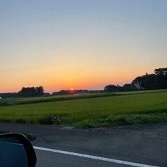 募集でぇーす🫥