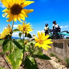 サイクリング仲間募集　【GCC岐阜チャリクラブ】