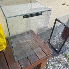 45センチ水槽