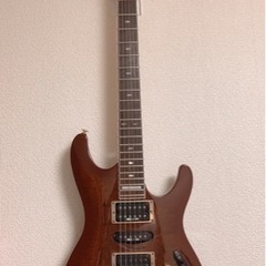 楽器 弦楽器、ギター