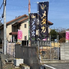 ファームドゥ沼田＆FUETAめだか 取り扱い品種画像掲載