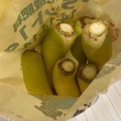 【決まりました】野菜　大根　2本