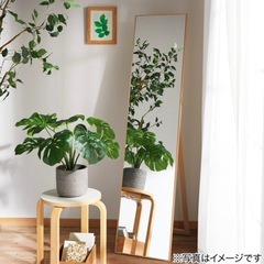 ニトリ　全身鏡　おしゃれミラー