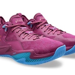 ☆asics ballaholic NOVA SURGE LOW 2☆