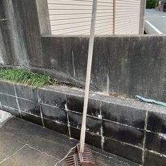 潮干狩り　
じょれん