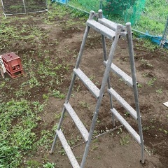 鉄製の脚立