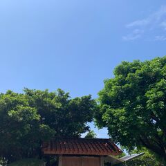 高知県～全国系　雑談　LINEオプチャ　メンバー募集中