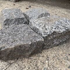 黒 ピンコロ 半丁 
