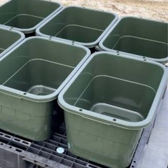 メダカの容器を無料にてお譲りいただけませんか？