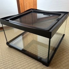 爬虫類ガラスゲージの画像
