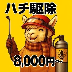 🐝ハチ駆除やってます｜ 夕方対応＆8,000円〜で安心！🐝1万円...