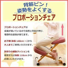 プロポーションチェア、姿勢矯正椅子、バランスチェアB